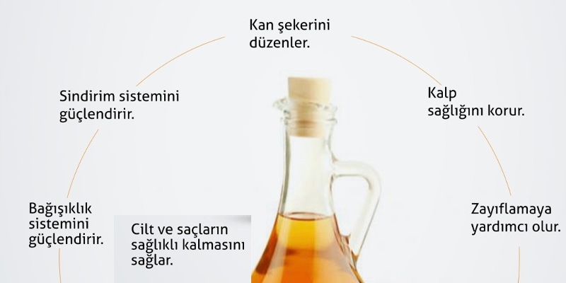 elma sirkesinin faydaları