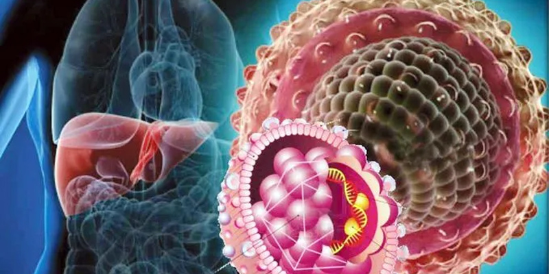 hepatit b HBV virüsünün sebep olduğu bulaşıcı bir karaciğer enfeksiyonu türü hepatit b nedir