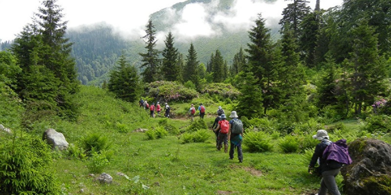 Karadeniz yaylalarında trekking turları Karadeniz yaylalarında trekking turları