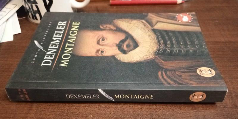 michel de montaigne çok özel eser michel de montaigne denemeler roman kitabı