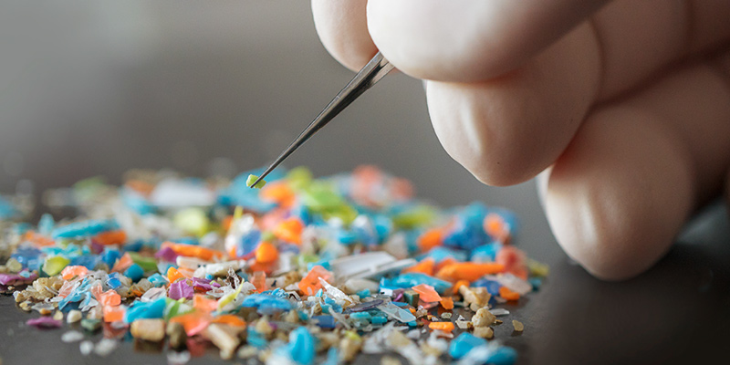 mikroplastik zararları nelerdir? mikroplastik nedir ve zararlı mı?