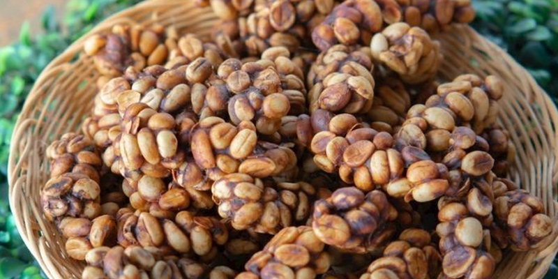 misk kedisinin kahve dışkısı