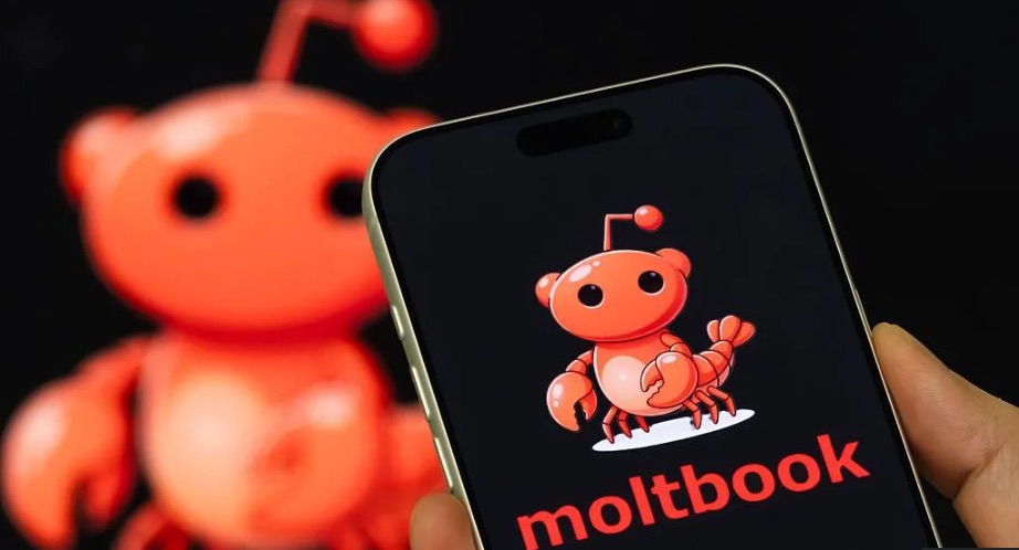 moltbook moltbook